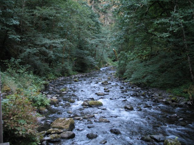 7.30.06 Wahclella Falls 009 